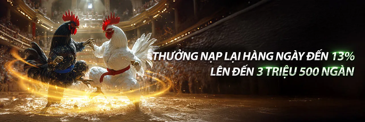 Khuyến mãi độc quyền 77win9 nhà cái